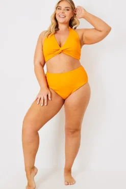 Crinkle Twist Front Halter Neck Bikini Top