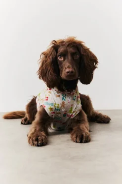 Dog Noel Print Pyjama