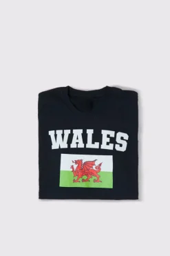 Kids Welsh Flag T-Shirt