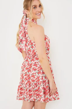Polo In The Park Dress