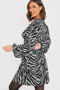 Zebra Woven Mini Dress